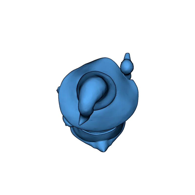 Psyduck X Gandalf - Смешение Pokemon и Властелина колец