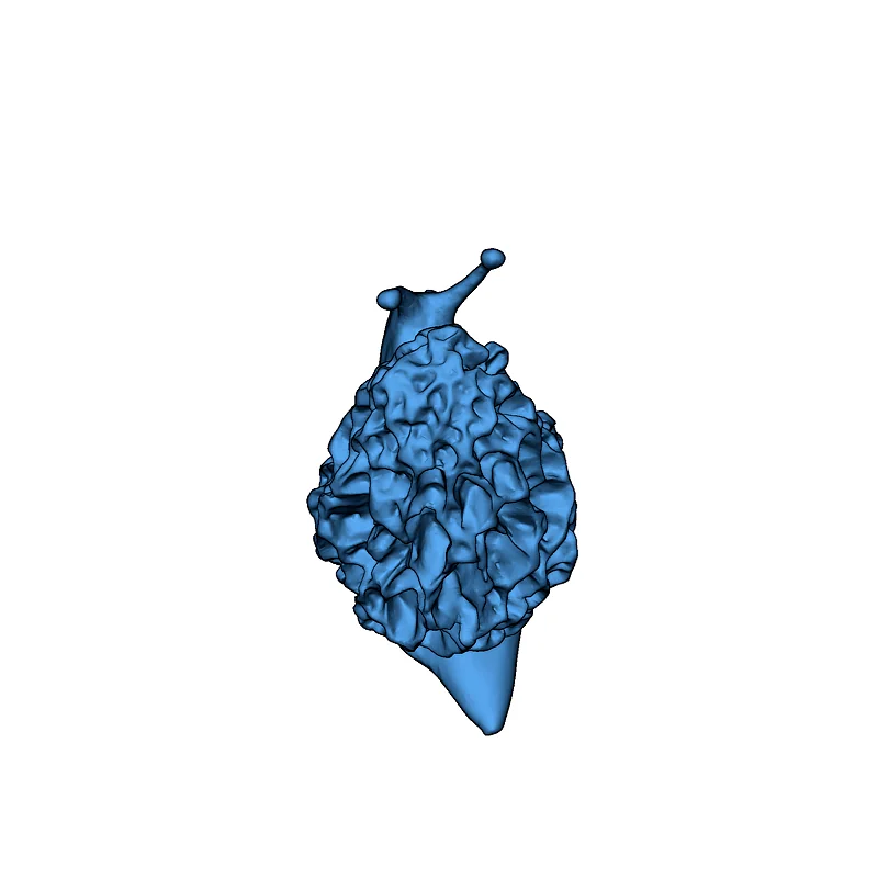 3D модель Модель гриба Snorel - фото 2