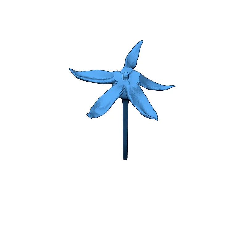 Модель: Rosa, sp. (Домашняя Роза)