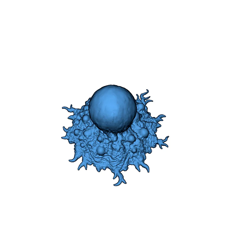 3D модель Bog Scum Model - фото 3