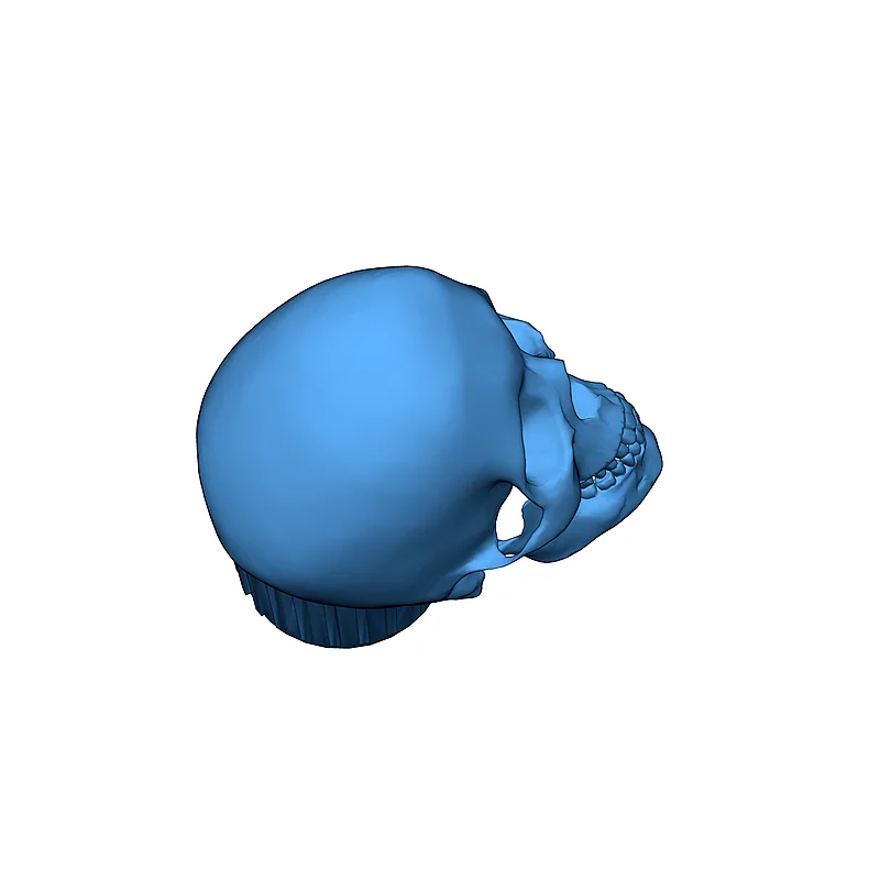 3D модель Крышка клапана с черепом - фото 2