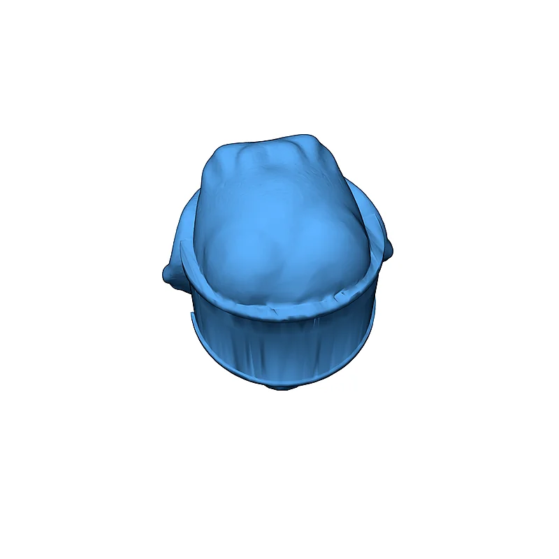 3D модель Фигура головы Капитана Нога - Star Trek DS9 - фото 4