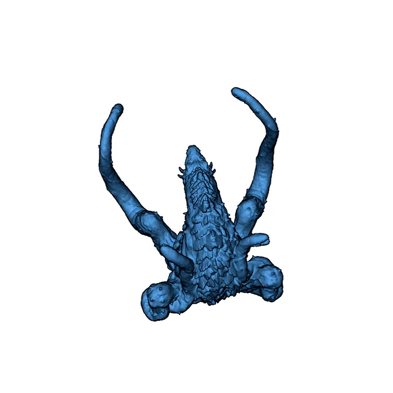 3D модель 3D модель Biollante - фото 2