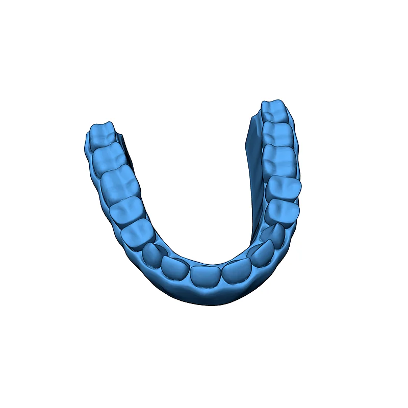 3D модель Модель зубных протезов для обучения - фото 7