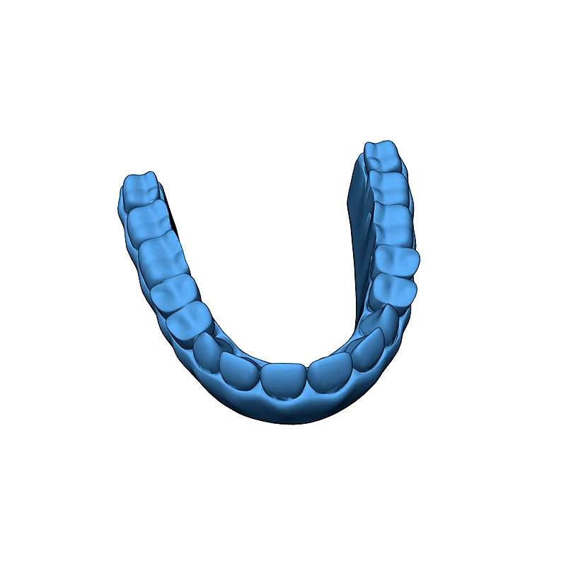 3D модель Модель зубных протезов для обучения - фото 9