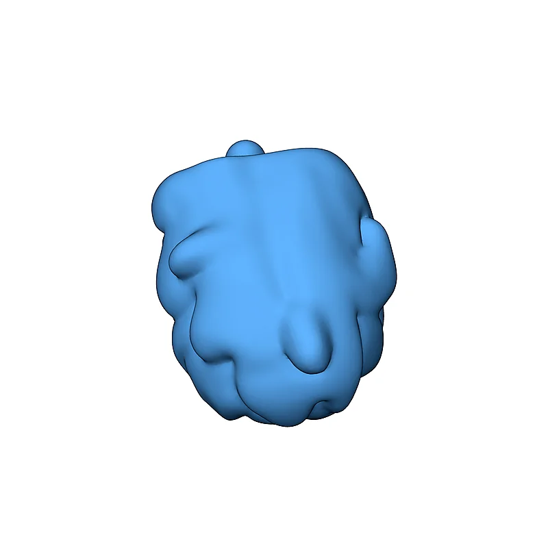 3D модель 3D Модель Морской Свинки LPS - фото 4