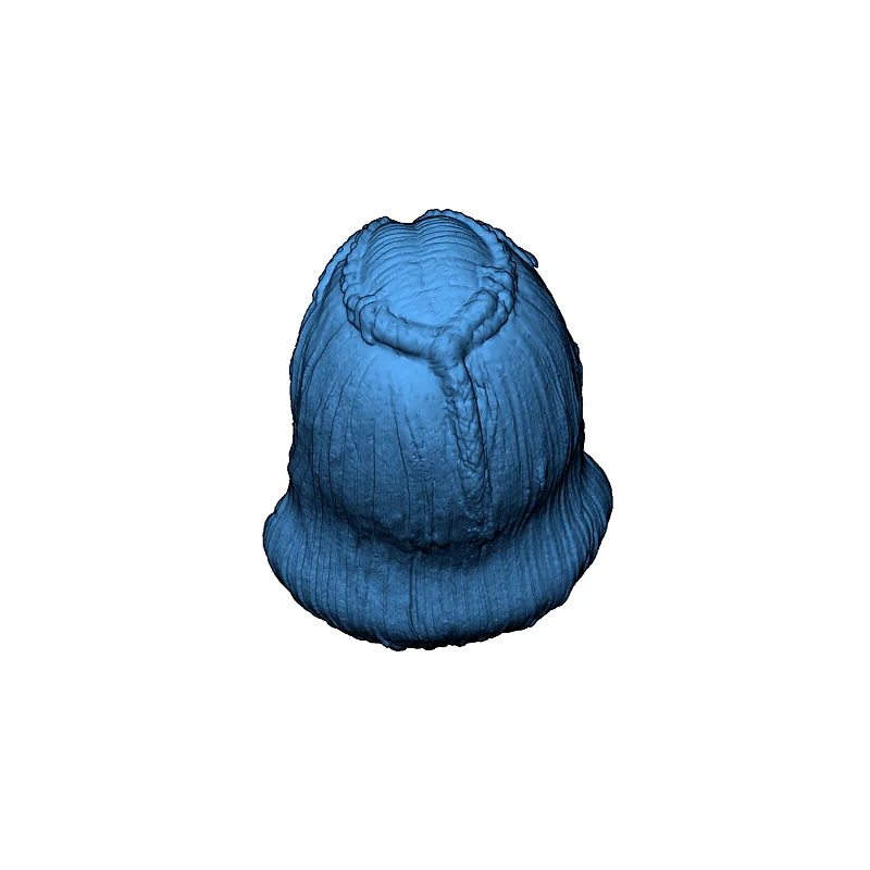 3D модель Голова кадета Таримы Садала - Академия Звёздного Флота - фото 4