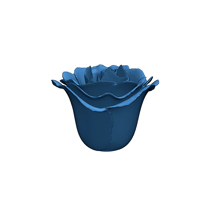 3D модель 3D Модель Розы с Стеблем и Листьями - фото 10