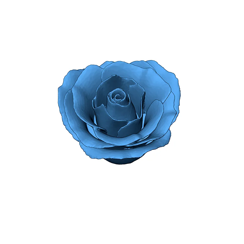 3D модель 3D Модель Розы с Стеблем и Листьями - фото 9