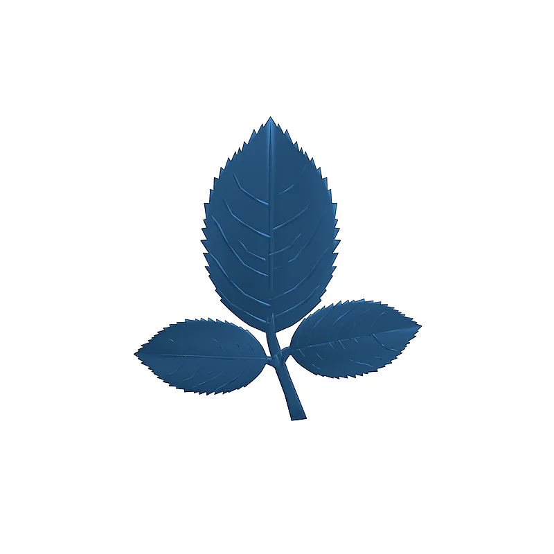 3D модель 3D Модель Розы с Стеблем и Листьями - фото 20