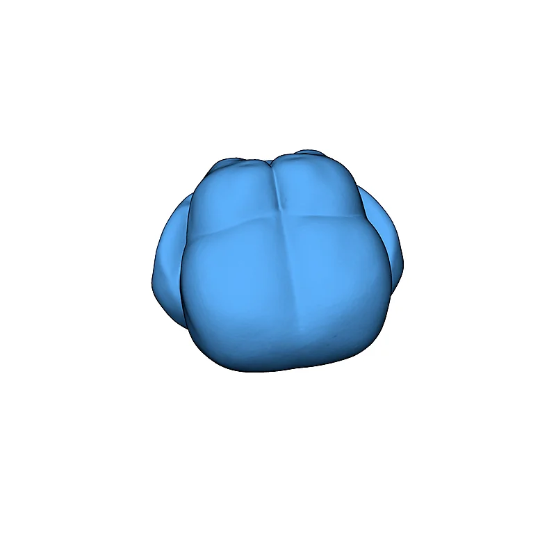 3D модель Голова фигурки Ишки - Star Trek DS9 - фото 4