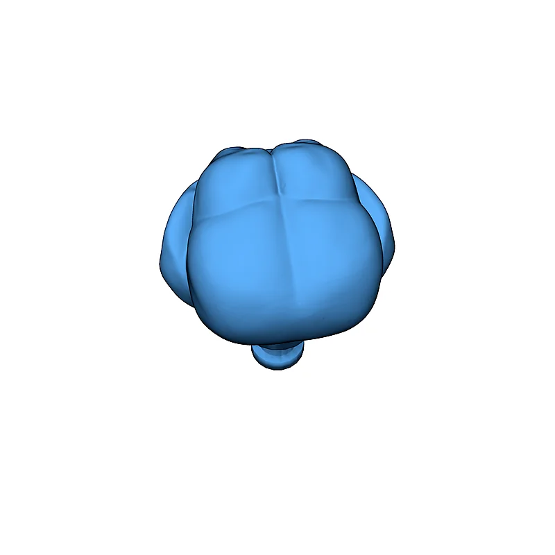 3D модель Голова фигурки Ишки - Star Trek DS9 - фото 6