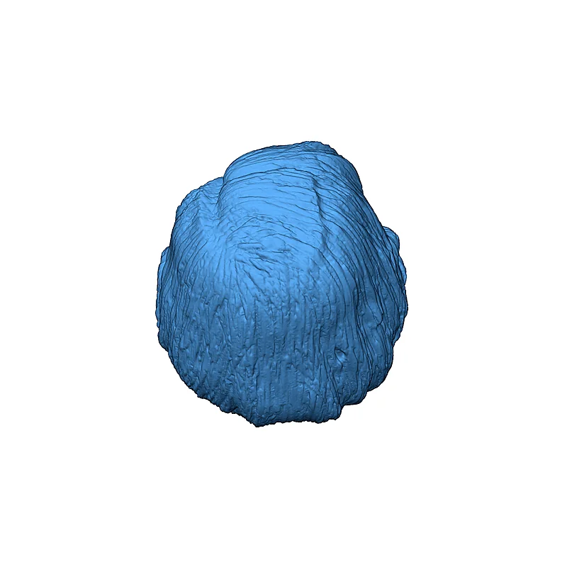 3D модель Фигура головы Агнес Джурати - Star Trek: Picard - фото 4