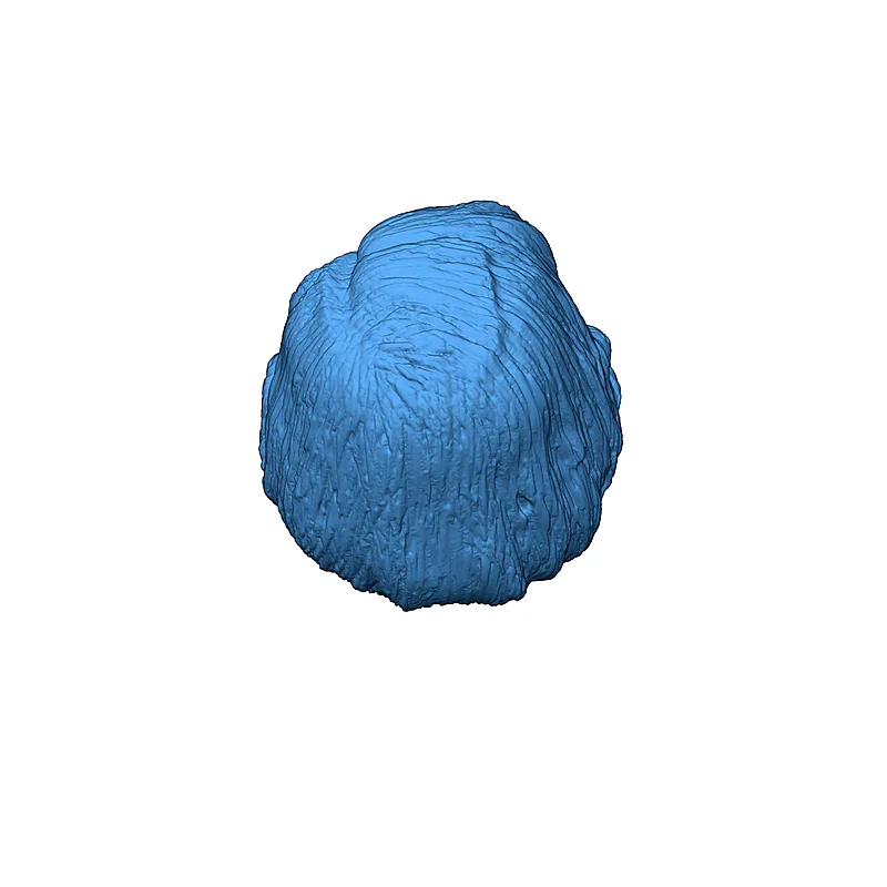 3D модель Фигура головы Агнес Джурати - Star Trek: Picard - фото 6