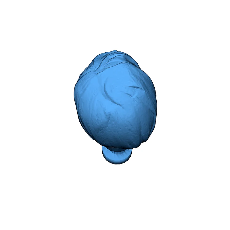 3D модель Фигура головы Джетт Рено - Star Trek: Discovery - фото 4