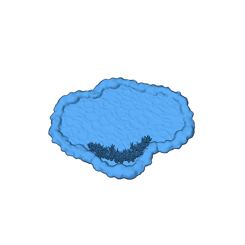 3D модель 15мм модели прудов для настольных игр (девять вариантов) - фото 10