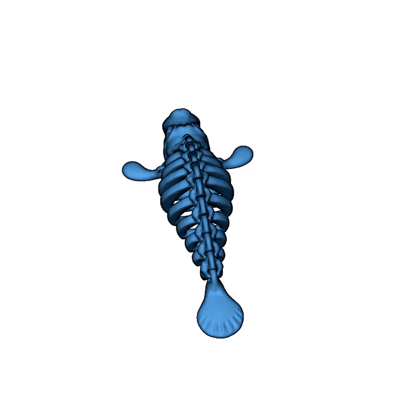 3D модель Скелет Флексибл Манати - фото 9