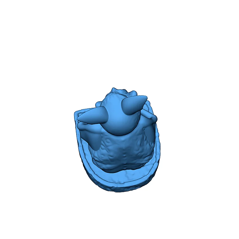 3D модель Пухлый вампирский летучая мышь на надгробии - фото 5