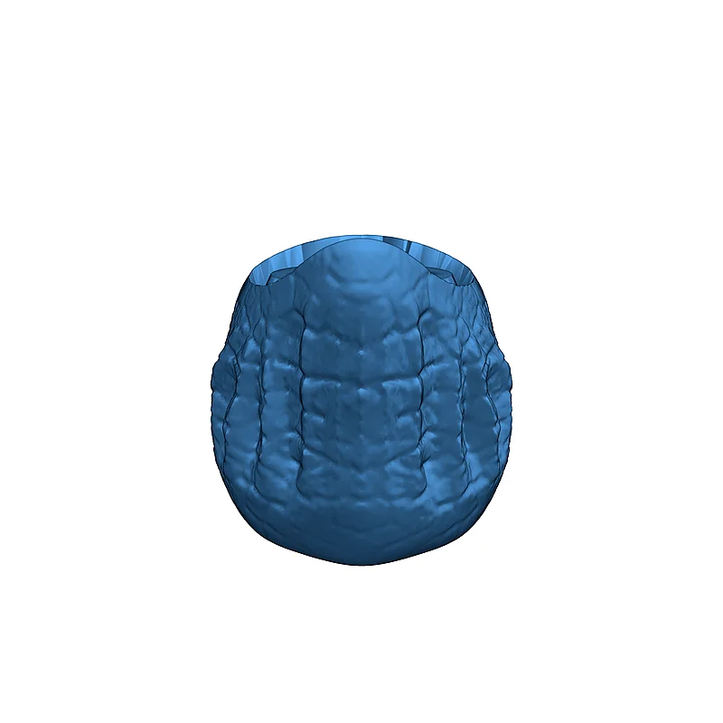 3D модель Модель Трицератопса с подвижными суставами - фото 26