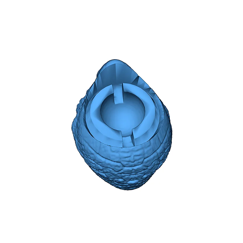 3D модель Модель Трицератопса с подвижными суставами - фото 25