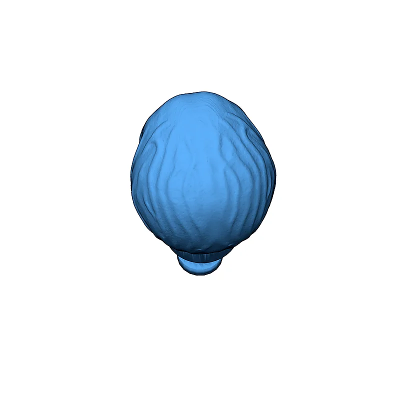 3D модель Талозианский Ассистент - Star Trek - фото 4