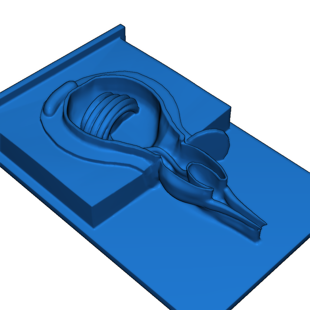 Модель нематоцисты