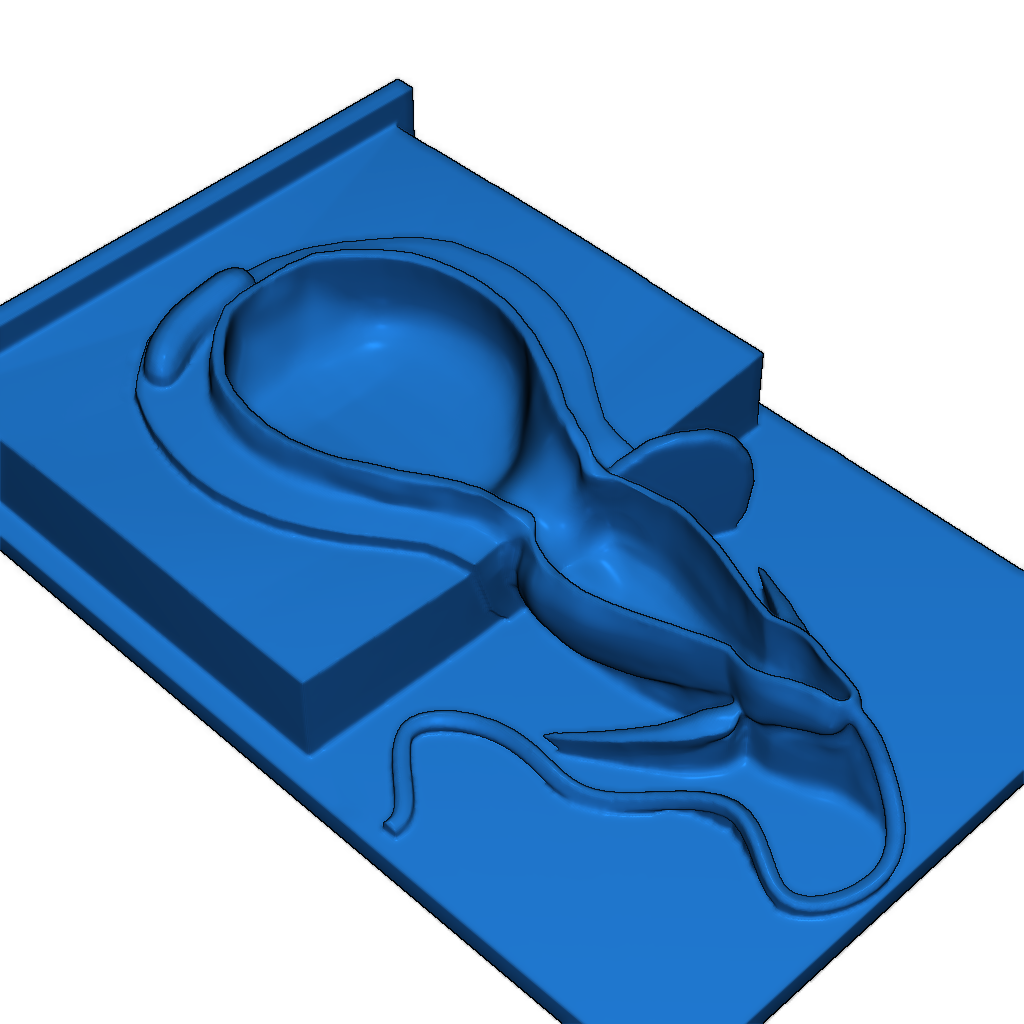 Модель нематоцисты