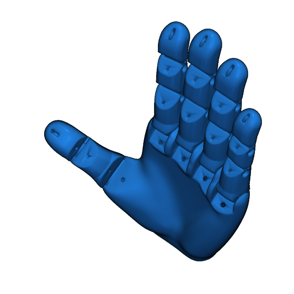 Гибкая 3D-модель руки Flexy-Hand