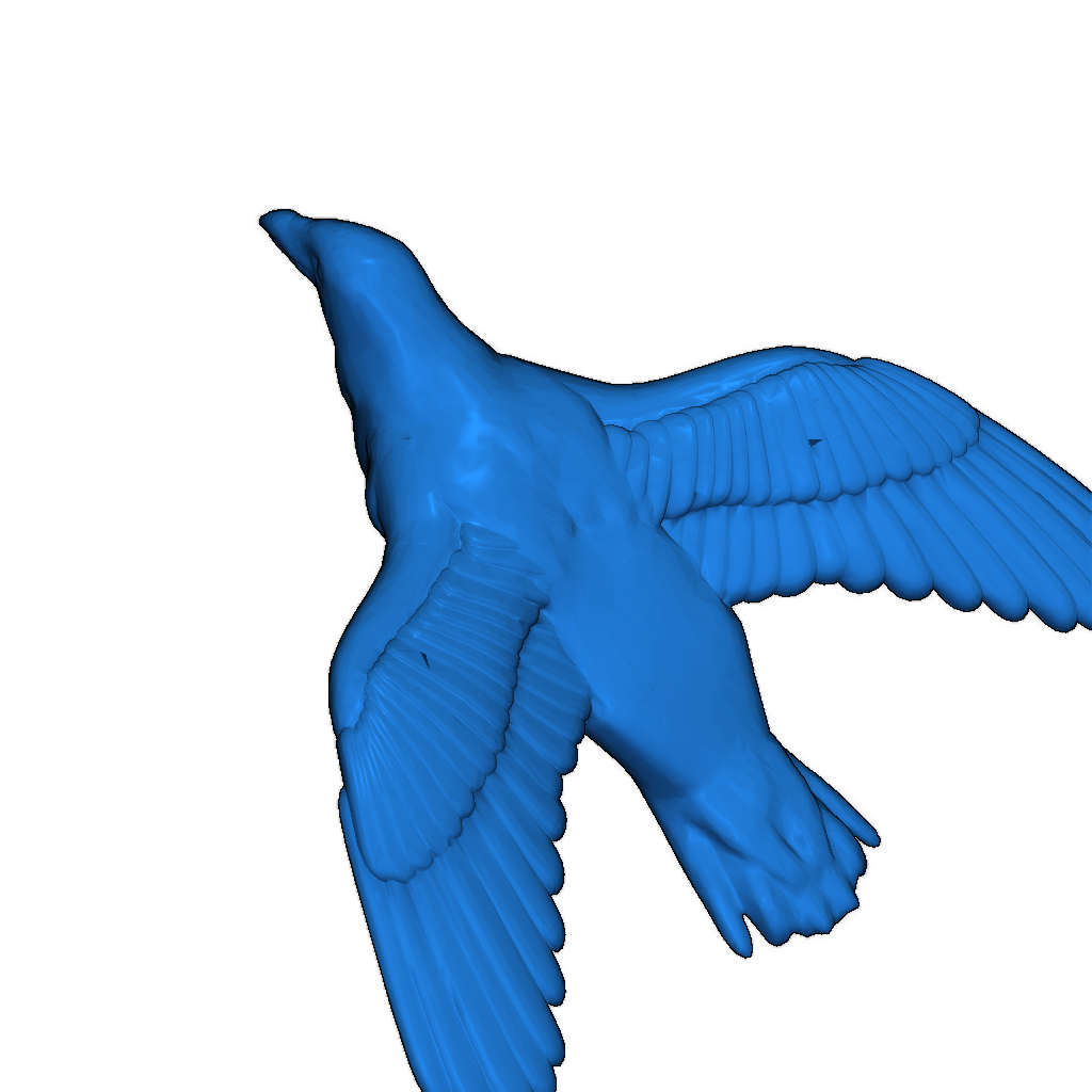 Воробей с раскрытыми крыльями