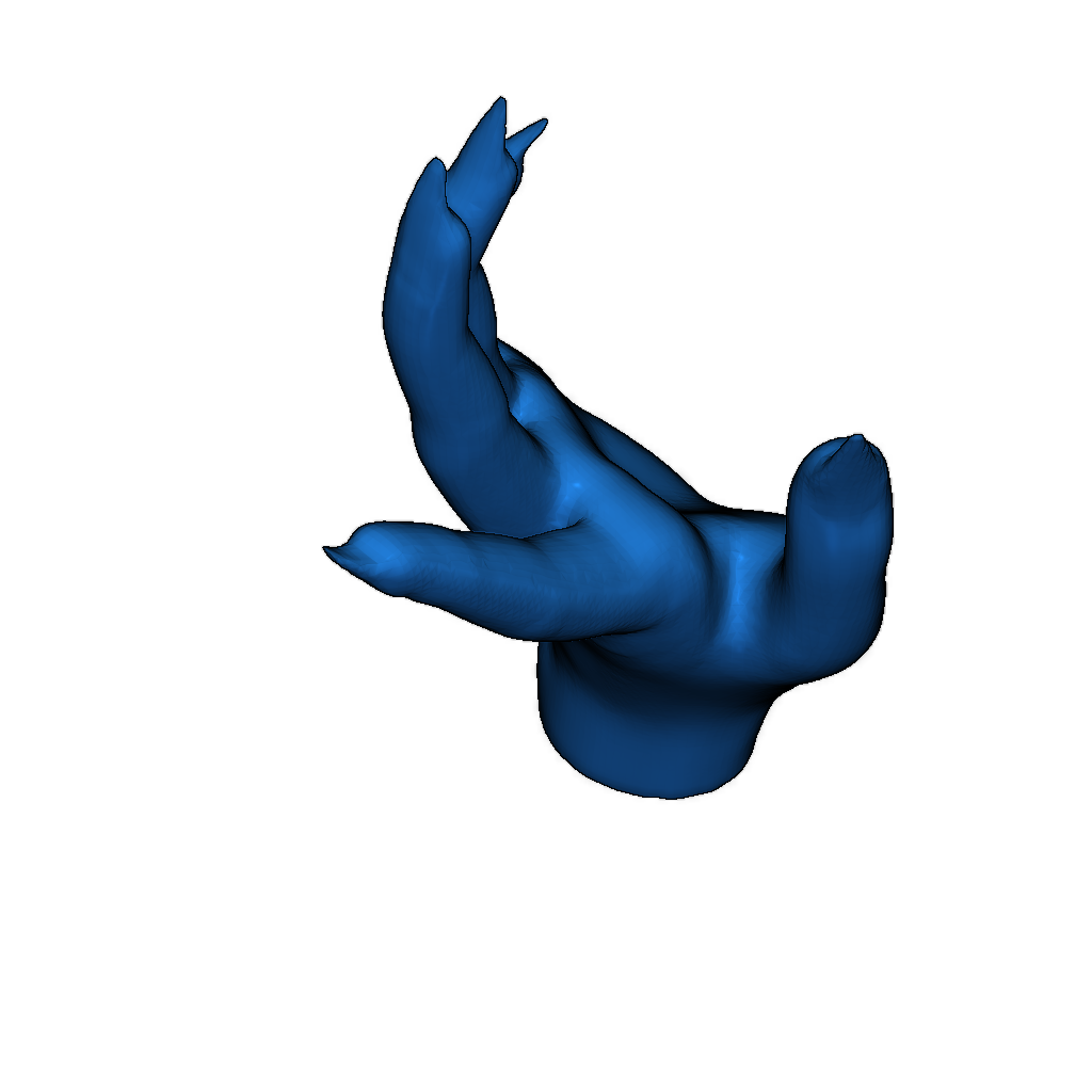 Открытая рука с длинными ногтями