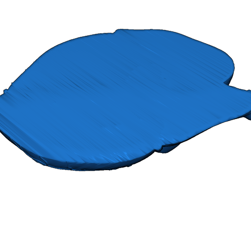 Модель сердца для студентов медицины 1:1