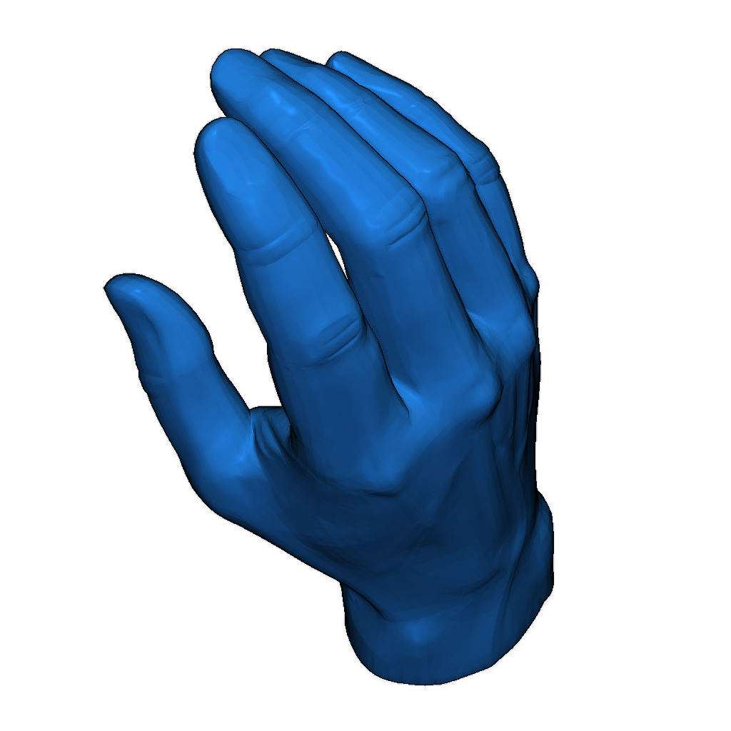 3D модель руки