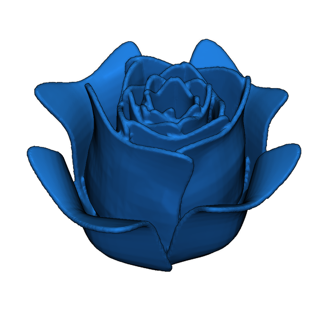 Открытая роза 3D модель