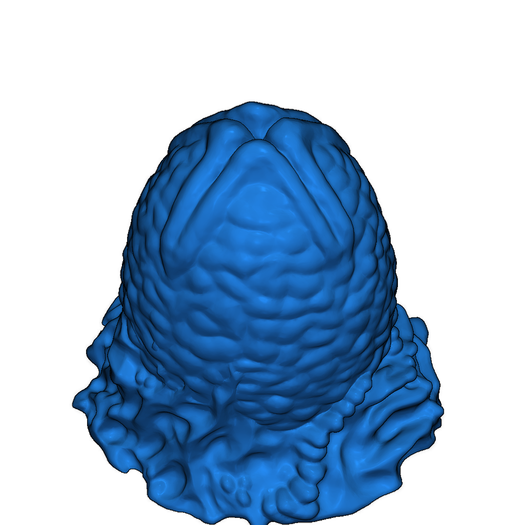 Яйца Ксеноформов