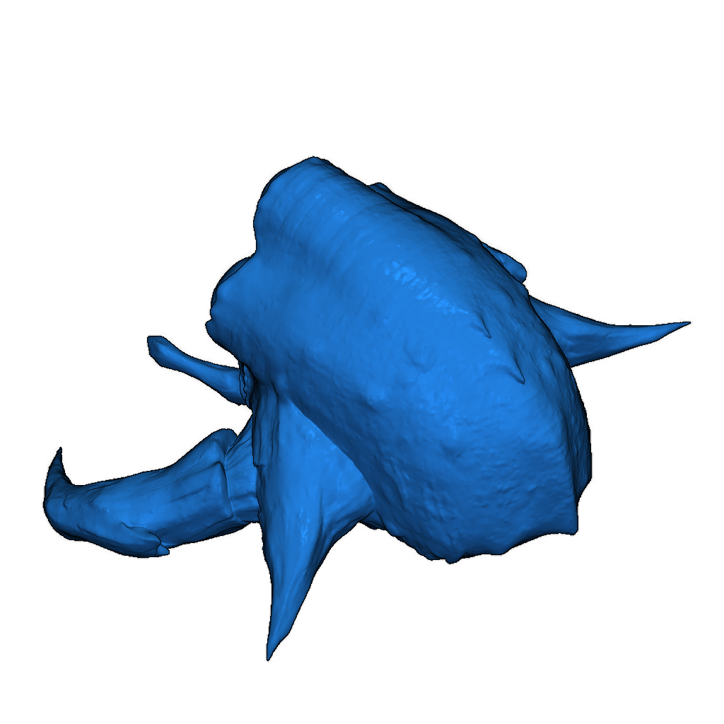 Гигантский маскированный жук: Твинмолд