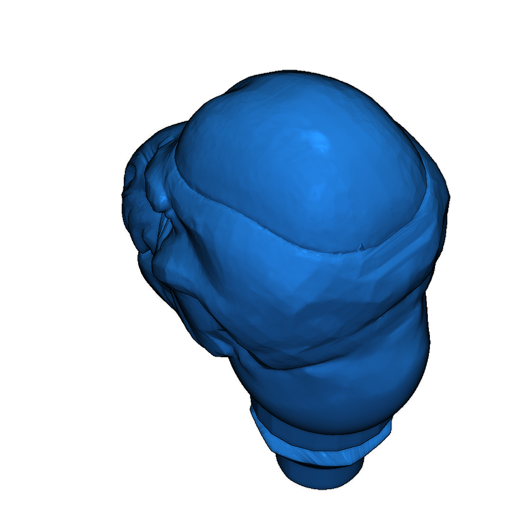 Голова фигурки Gallamite из Star Trek