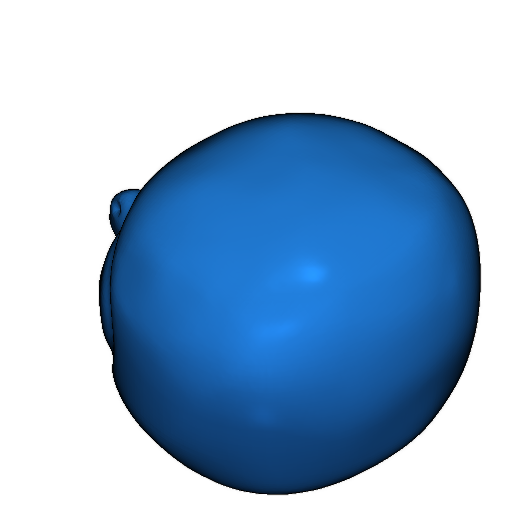 3D модель LPS Seagull