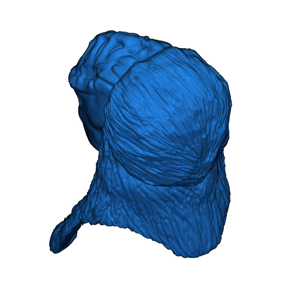 Голова Лурсы - Star Trek TNG