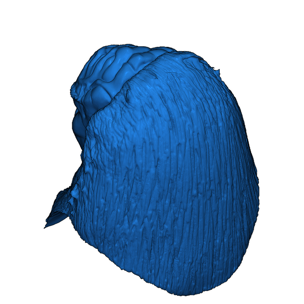 Голова фигуры Betor из Star Trek