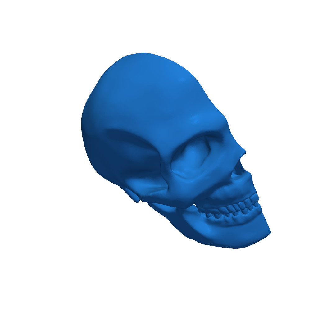 Череп для оверлея на ручке передачи