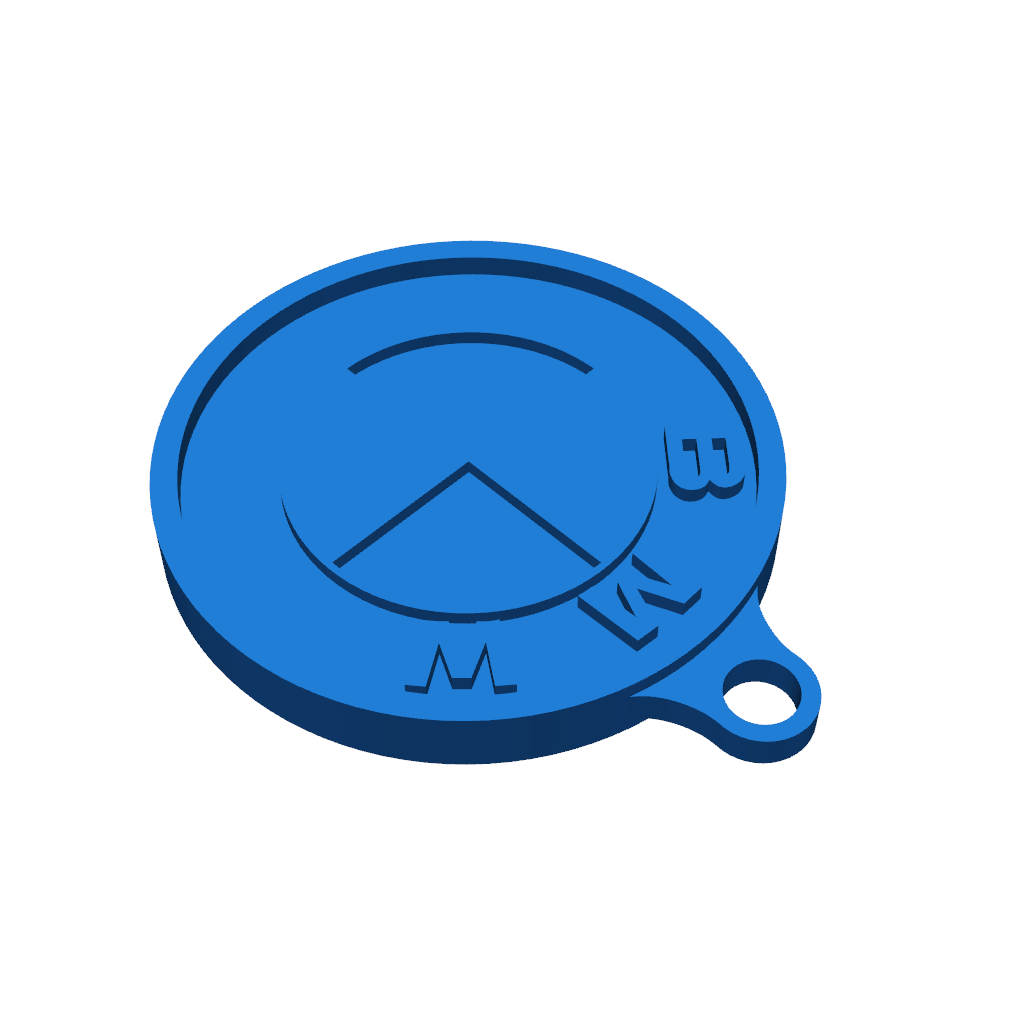 Простой двухцветный ключ BMW