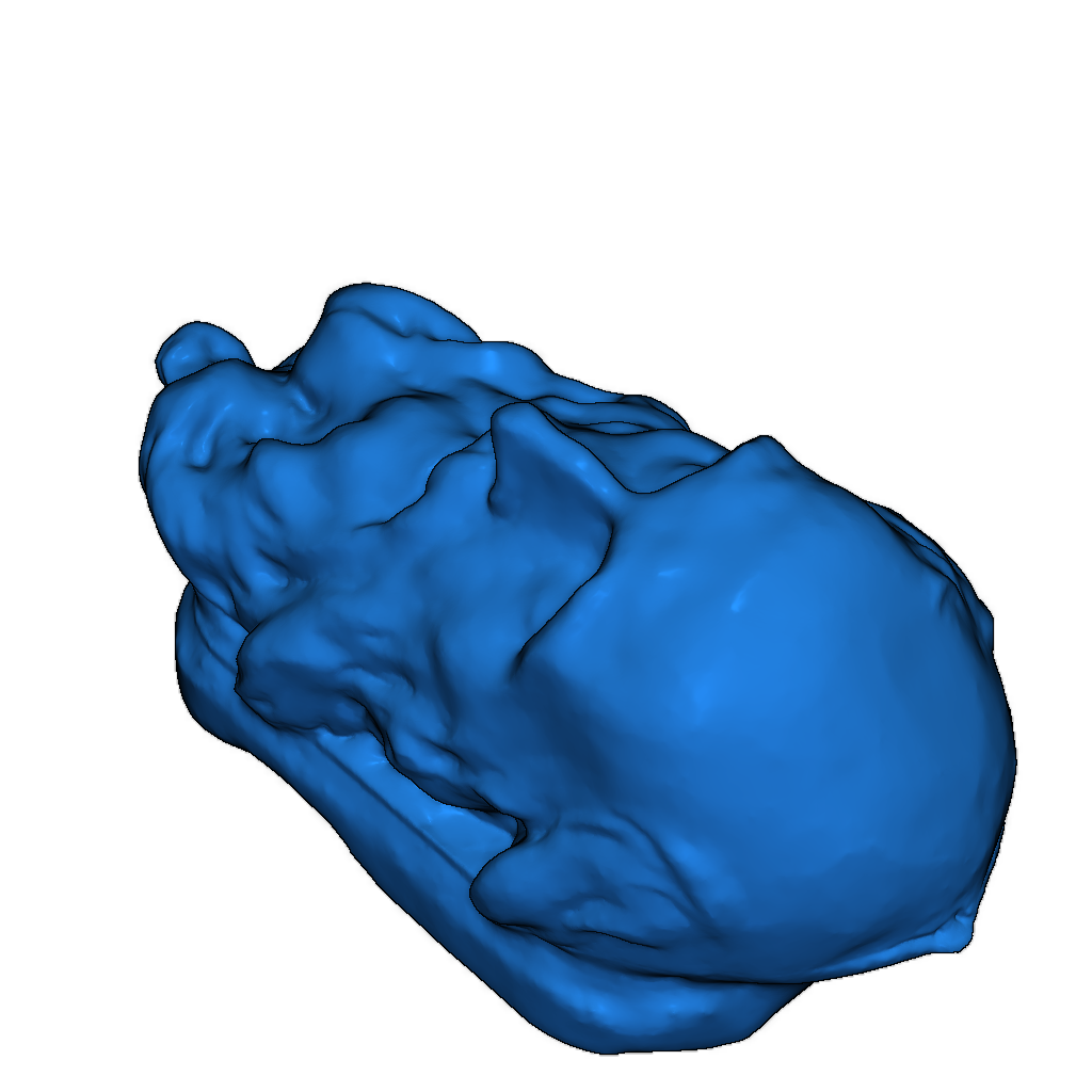 Модель гипсовой фигуры Хрисиса