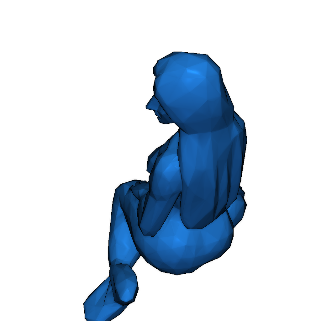 3D Модель Селки