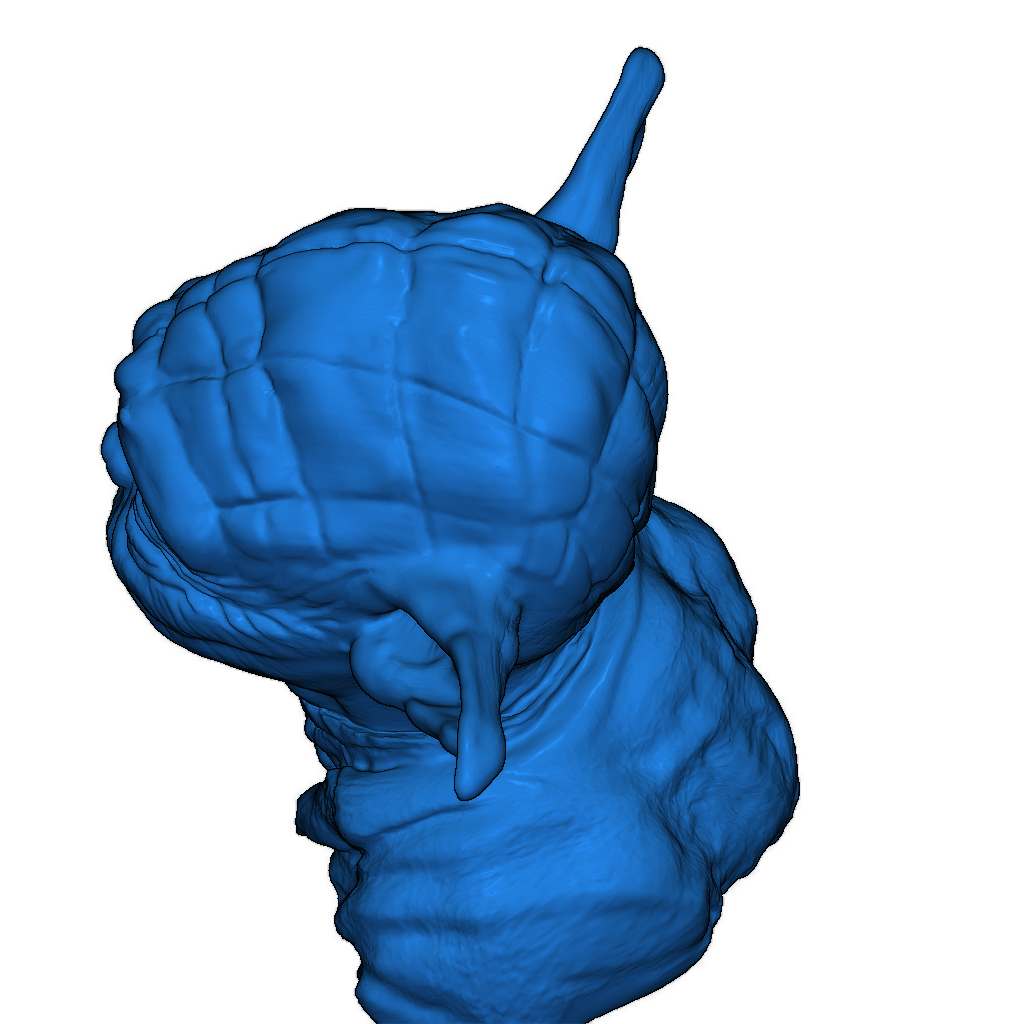 3D-модель с чистым топологией