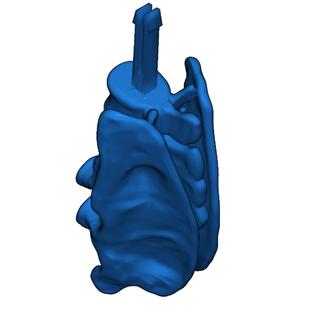 Готовая к печати 3D-модель Тираннозавра Рекса