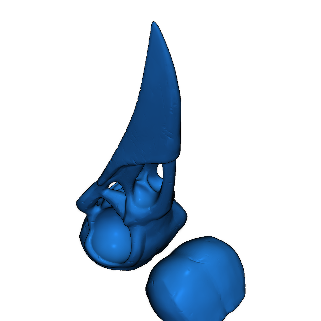 Череп ворона