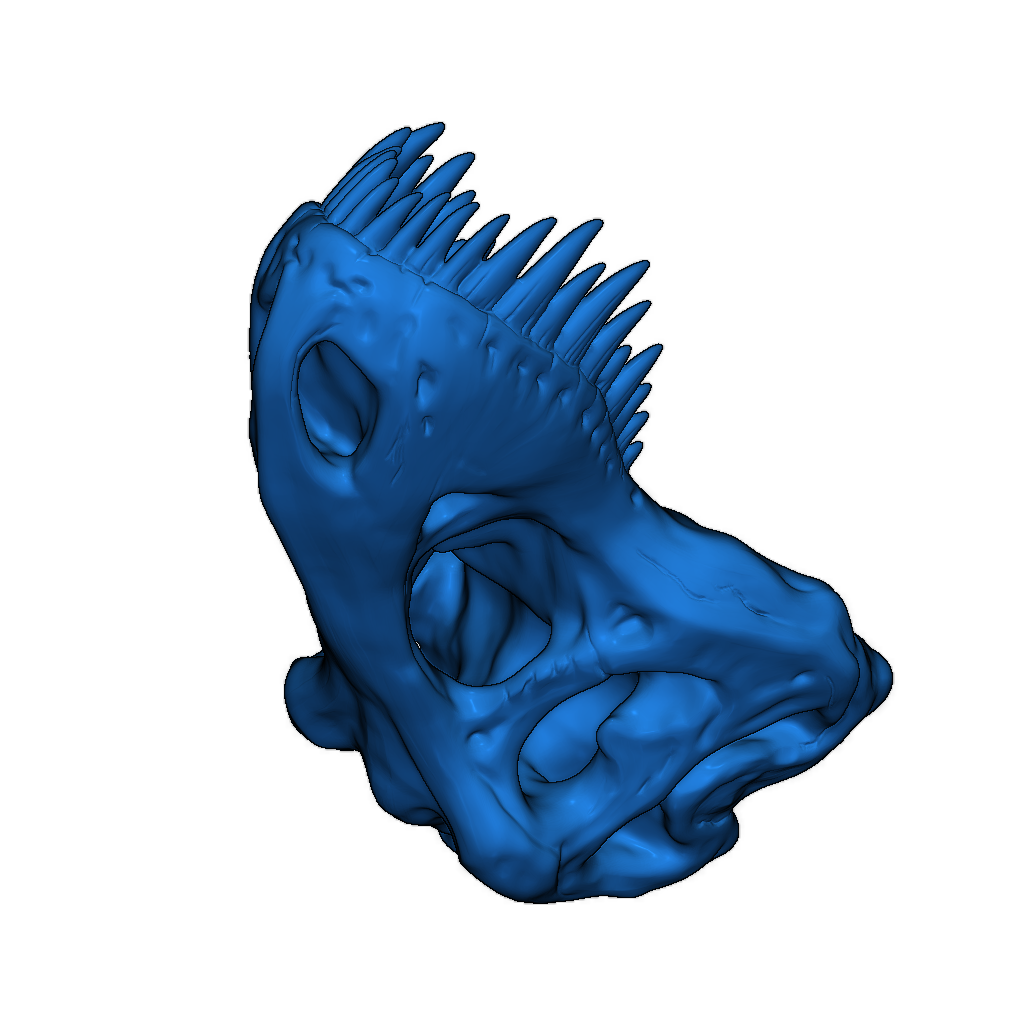 Череп Тираннозавра