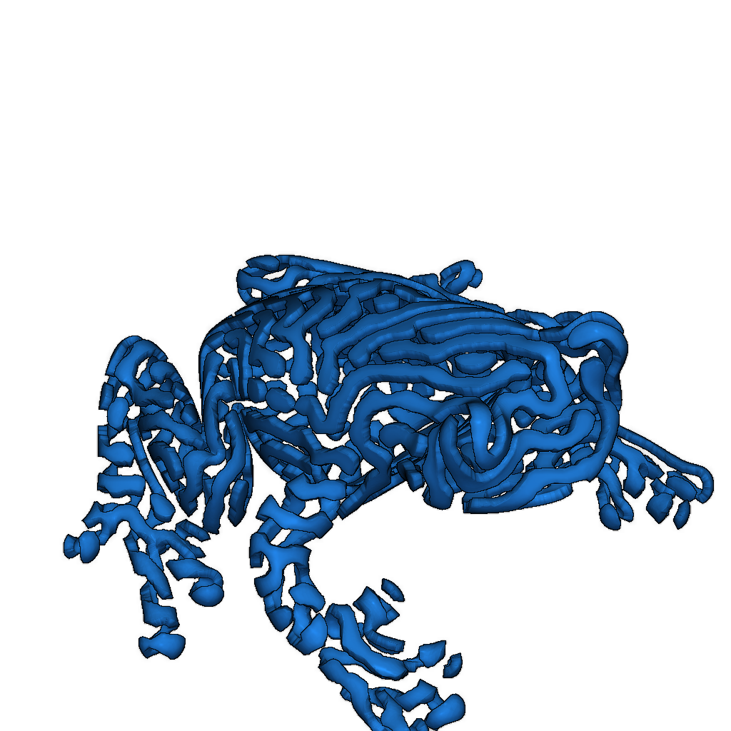 Древесная лягушка тигра