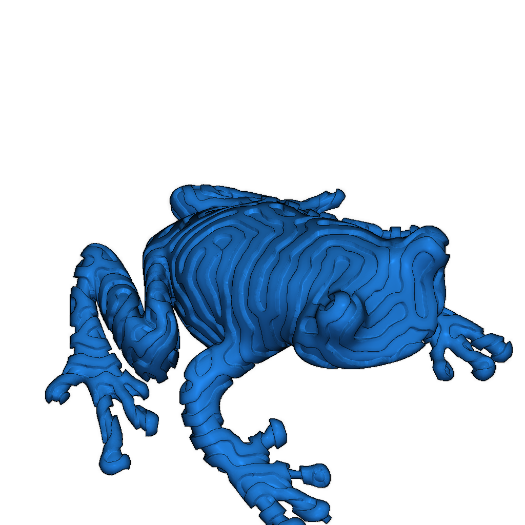 Древесная лягушка тигра