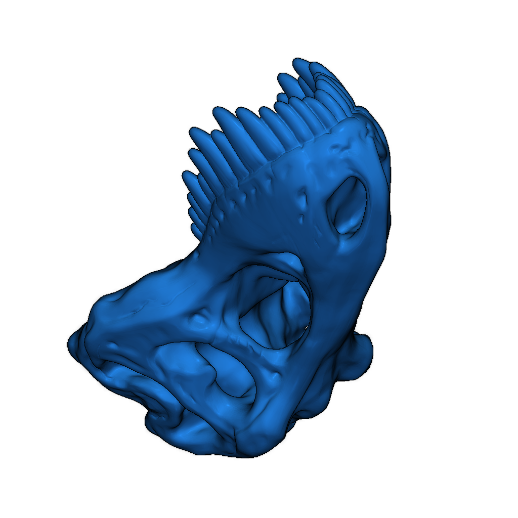 Мини-версия черепа Тираннозавра
